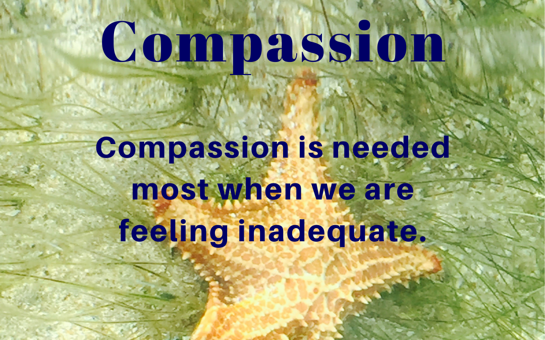 Compassion