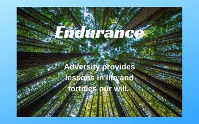 Endurance