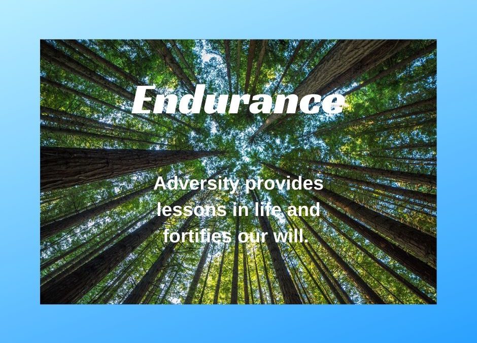 Endurance