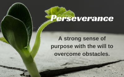 Perseverance