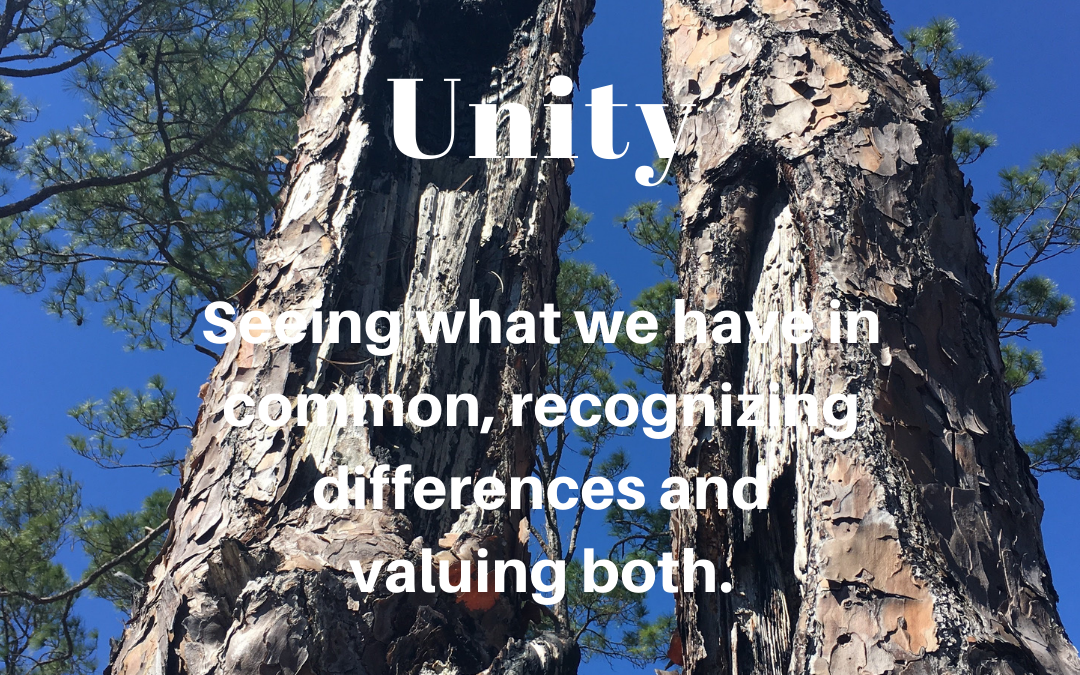 Unity