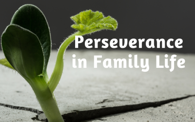 Cultivating Perseverance in Family Life