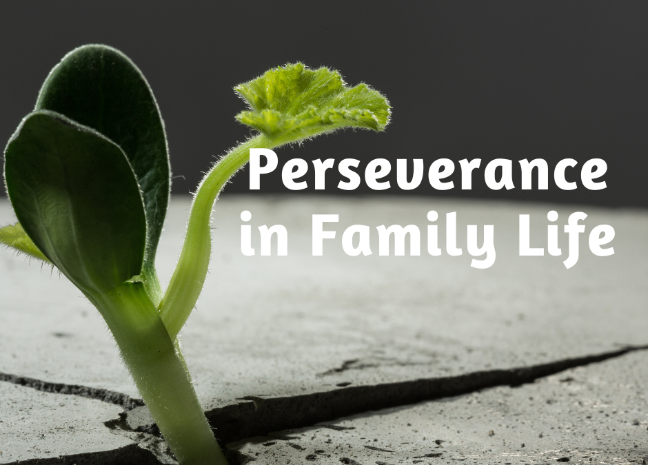 Cultivating Perseverance in Family Life