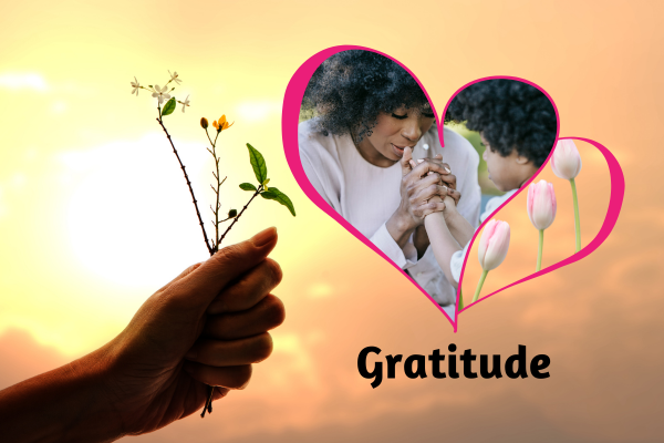 Gratitude: The Secret Ingredient to Strengthening Your Family Values and Vision